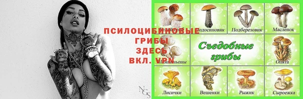 тгк Алексеевка