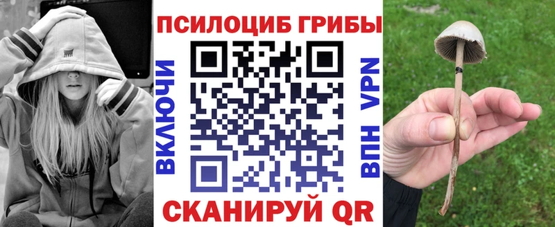 Псилоцибиновые грибы прущие грибы  где можно купить   Нальчик 